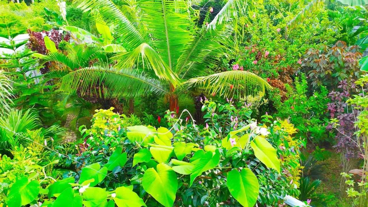 Villa Modara Tangalle Exterior foto